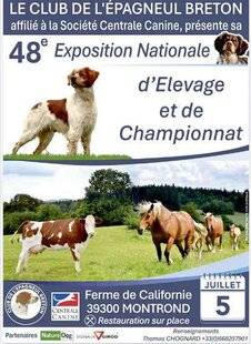 La Revue Nationale de La Chasse 946 Direction la Californie !