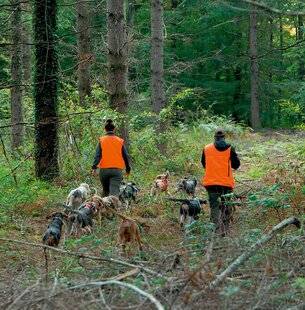 La Revue Nationale de La Chasse 947 LE DROIT DE SUITE DU GRAND GIBIER