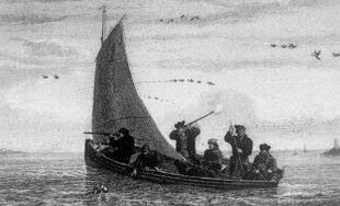 La Revue Nationale de La Chasse 947 LA CHASSE DU GIBIER D'EAU EN MER, EN BATEAU À VOILE ET À MOTEUR