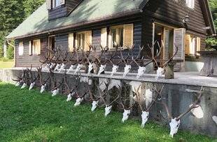 La Revue Nationale de La Chasse 947 CERFS DE MONTAGNE EN CROATIE, AVEC GP VOYAGES
