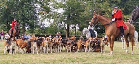 La Revue Nationale de La Chasse 948 Carrouges à l’heure de la vénerie