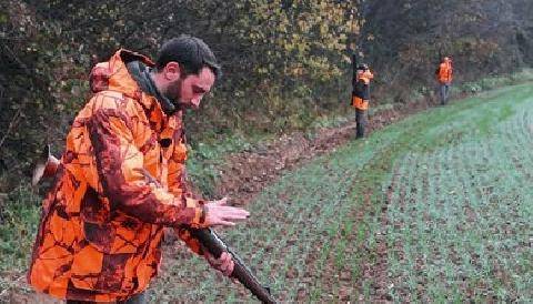 La Revue Nationale de La Chasse 948 Une baisse historique