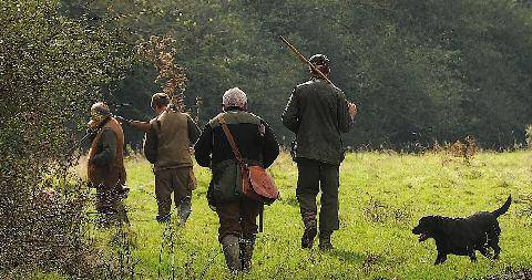 La Revue Nationale de La Chasse 948 OUVERTUREDIX CHASSES DE PAYS