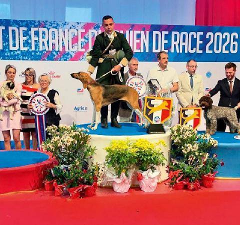 La Revue Nationale de La Chasse 948 CHAMPIONNAT DE FRANCE UNE PORCELAINE SACRÉE BEST IN SHOW