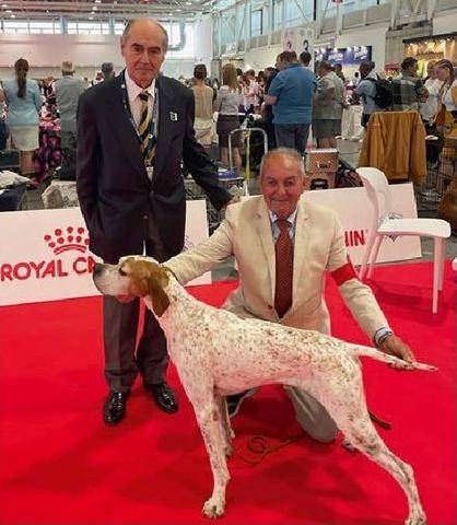 La Revue Nationale de La Chasse 948 World Dog Show Sibeau et si bon