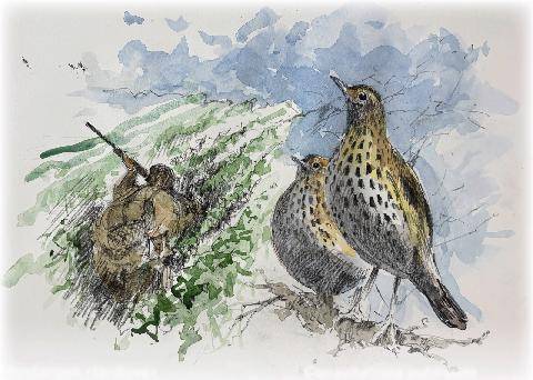 La Revue Nationale de La Chasse 949 L’ALMANACH