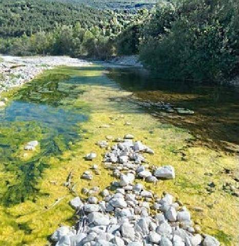La Revue Nationale de La Chasse 949 Sécheresse record Les rivières au bord de l’asphyxie