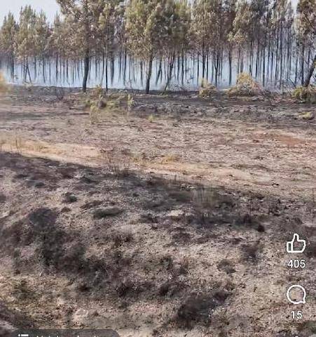 La Revue Nationale de La Chasse 949 Incendies : la fédération des chasseurs des Landes rassure
