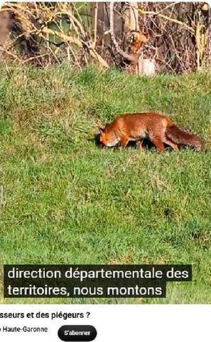 La Revue Nationale de La Chasse 949 La Fédération des chasseurs de Haute-Garonnefait une piqûre de rappel !