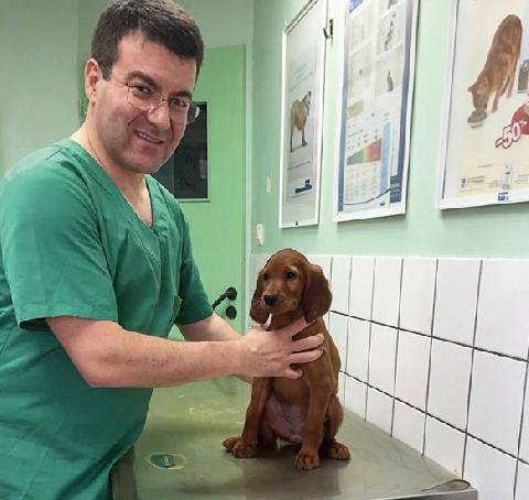 La Revue Nationale de La Chasse 949 INCONTINENCE URINAIRE :QUAND LES FUITES RÉVÈLENT UNE MALADIE