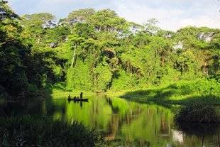 Vital 36 Un retour aux sources avec les Indiens Waorani