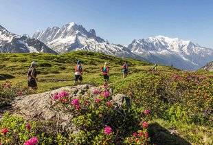 Vital 39 Le cross du Mont-Blanc