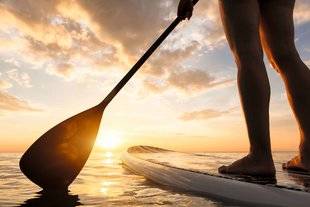 Vital 39 Le paddle
Apaise l'esprit, gaine le corps
