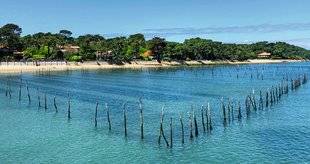 Vital 39 MON TOUR DU BASSIN D'ARCACHON à vélo !