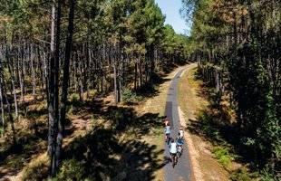 Vital 39 MON ÉTÉ INDIEN DANS LES LANDES