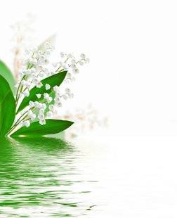 Les Veillées des Chaumières 3373 Promenade poétique