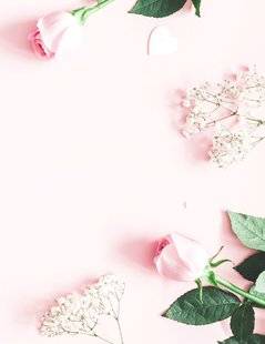 Les Veillées des Chaumières 3376 Petite mère