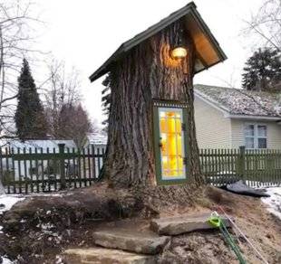 Les Veillées des Chaumières 3378 Une bibliothèque pour Lilliput