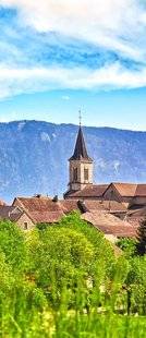 Les Veillées des Chaumières 3378 Souvenirs d'enfance
