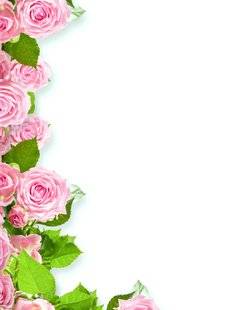 Les Veillées des Chaumières 3381 Roses