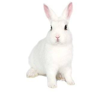 Les Veillées des Chaumières 3381 Sauvetage périlleux