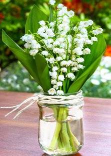 Les Veillées des Chaumières 3478 Gai, gai, le muguet !