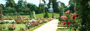 Les Veillées des Chaumières 3482 Les nouvelles roses à l'honneur aux jardins de Bagatelle