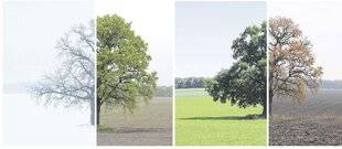 Les Veillées des Chaumières 3649 Au fil des saisons
