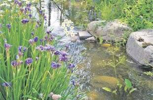 Les Veillées des Chaumières 3649 Le ruisseau