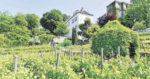 Les Veillées des Chaumières 3656 Les vignes de Montmartre