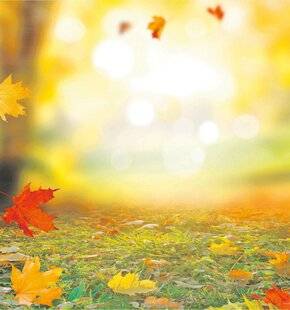 Les Veillées des Chaumières 3657 Prémices d'automne