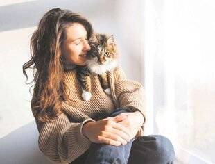 Les Veillées des Chaumières 3657 Le ragamuffin, le plus adorable des chats ?