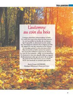 Les Veillées des Chaumières 3659 L'automne au coin du bois