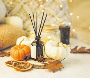 Les Veillées des Chaumières 3659 La lampe Berger :par fumer, purifier, sublimer