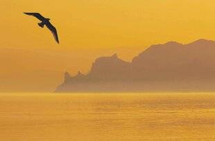 Les Veillées des Chaumières 3659 Entre ciel et mer, une presqu'île…