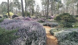 Les Veillées des Chaumières 3659 Un paradis vert en Val de Loire