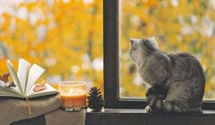 Les Veillées des Chaumières 3660 Un jour d'automne