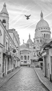 Les Veillées des Chaumières 3661 Le miroir aux alouettes