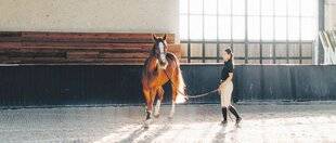 Les Veillées des Chaumières 3662 Le grain de sable