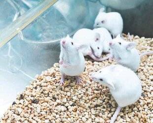 Les Veillées des Chaumières 3666 Le compte est bon