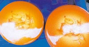 Les Veillées des Chaumières 3666 Le charme discret des cache-plaques