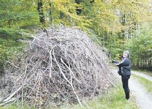 Les Veillées des Chaumières 3668 Salut, vieille branche !