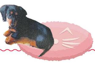 Les Veillées des Chaumières 3668 Bravo Ugolin !