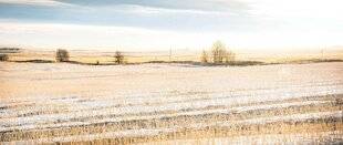 Les Veillées des Chaumières 3668 Derniers reflets de l'hiver