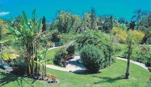 Les Veillées des Chaumières 3668 À Nice, la nature reprend ses droits