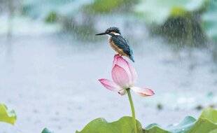 Les Veillées des Chaumières 3669 L'intempérie