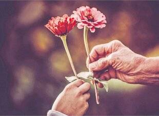 Les Veillées des Chaumières 3669 Vos poésies