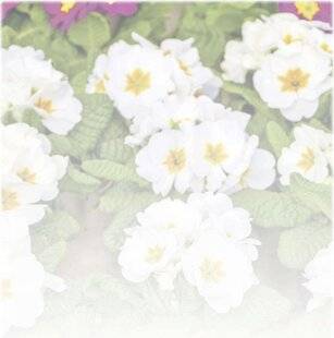 Les Veillées des Chaumières 3670 Bonjour printemps !