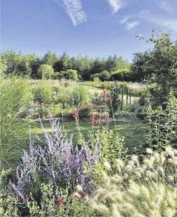 Les Veillées des Chaumières 3670 Un paradis où les sauges sont reines