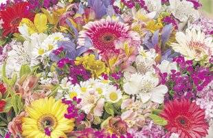 Les Veillées des Chaumières 3671 Un brin de chance